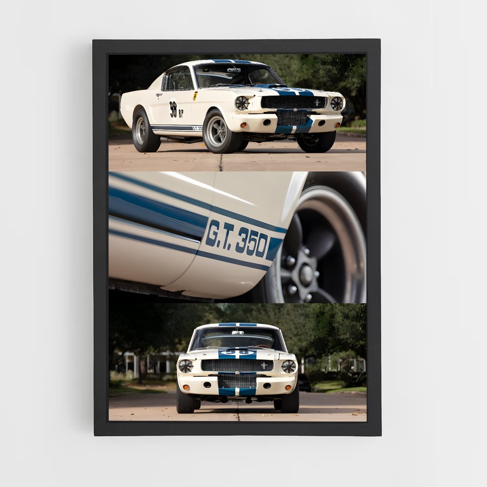 Poster Vitesse élégance vitrine – affiche Lamborghini (vue 2)